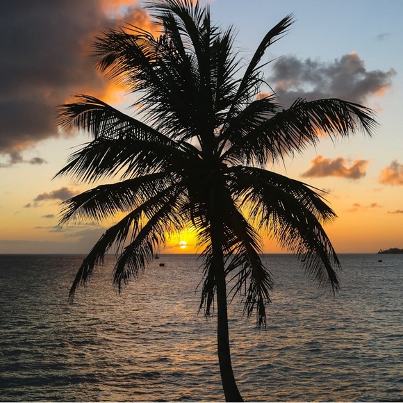 Welcome - Picture 4 of 16